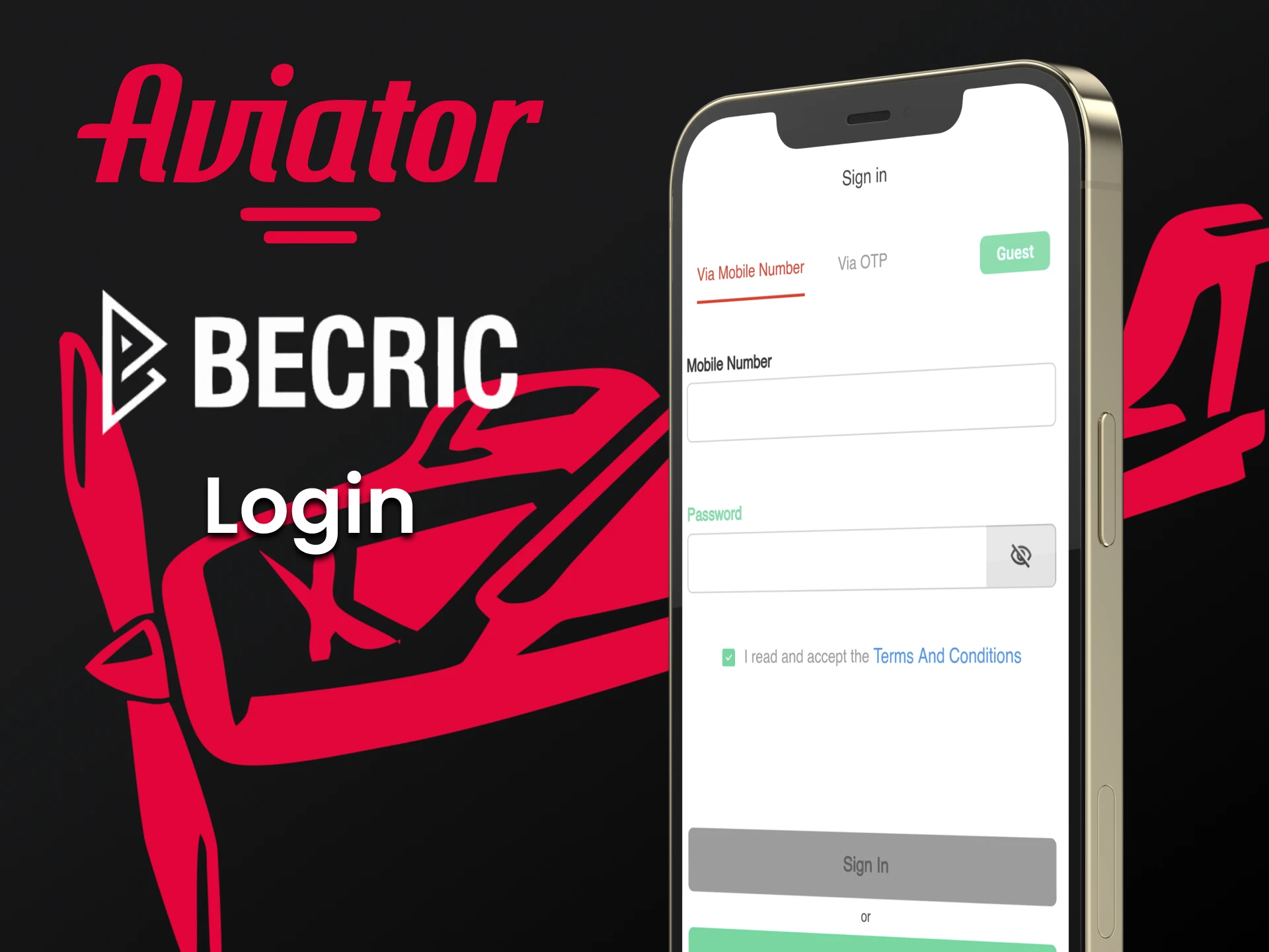 Log in to your personal account to play Aviator on Becric.