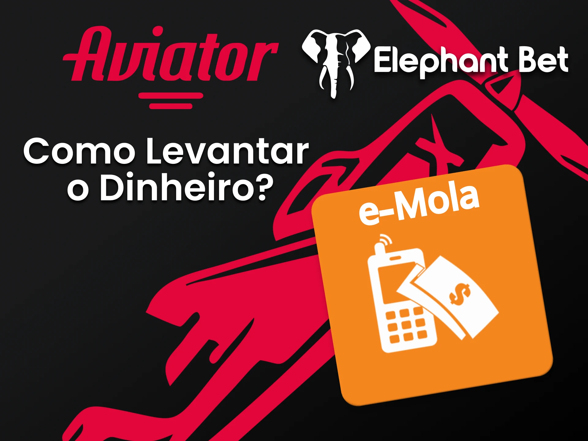 Use um dos métodos de saque da Elephantbet.