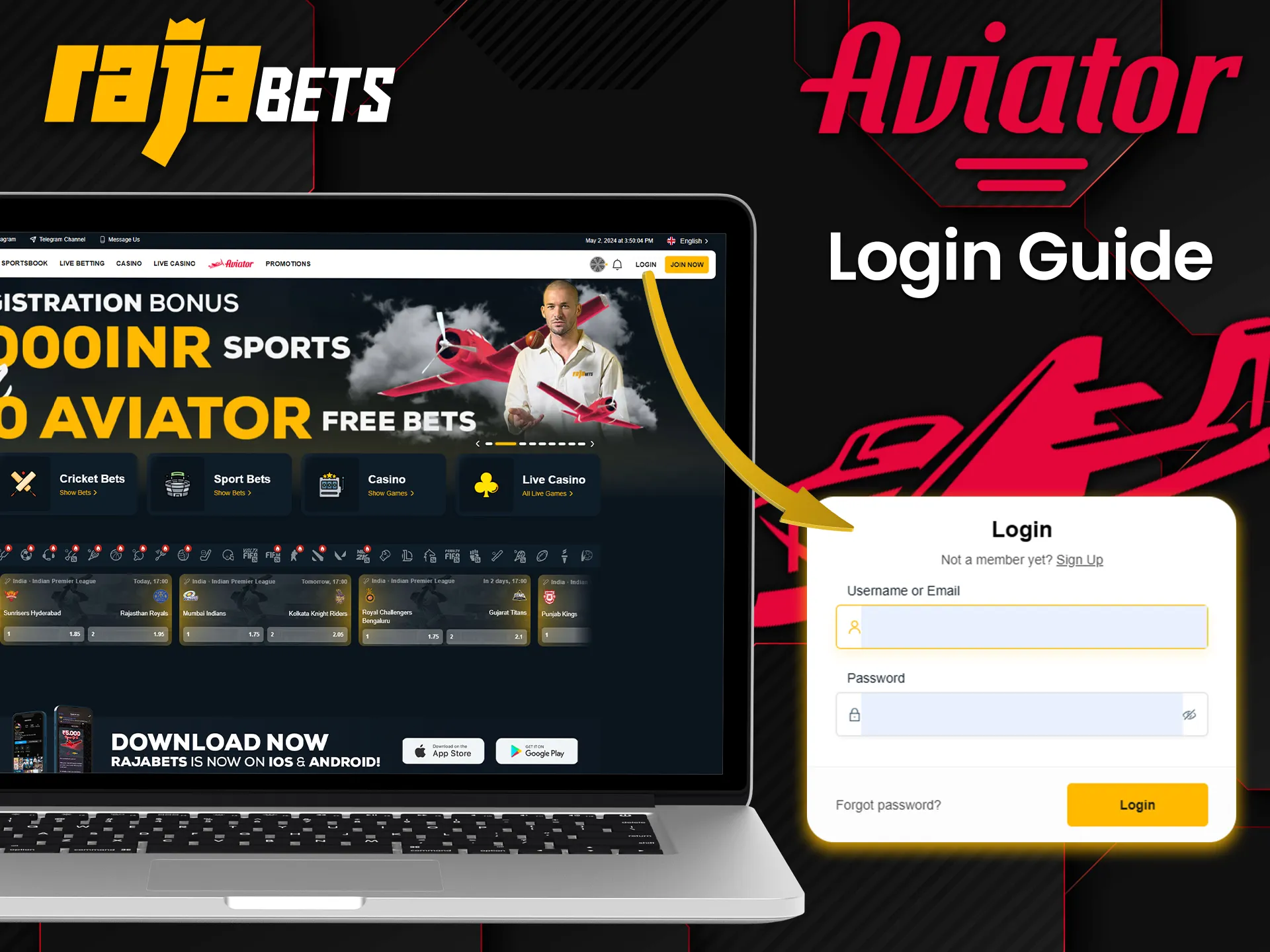 To log in to Rajabets and start playing Aviator enter your username and password.