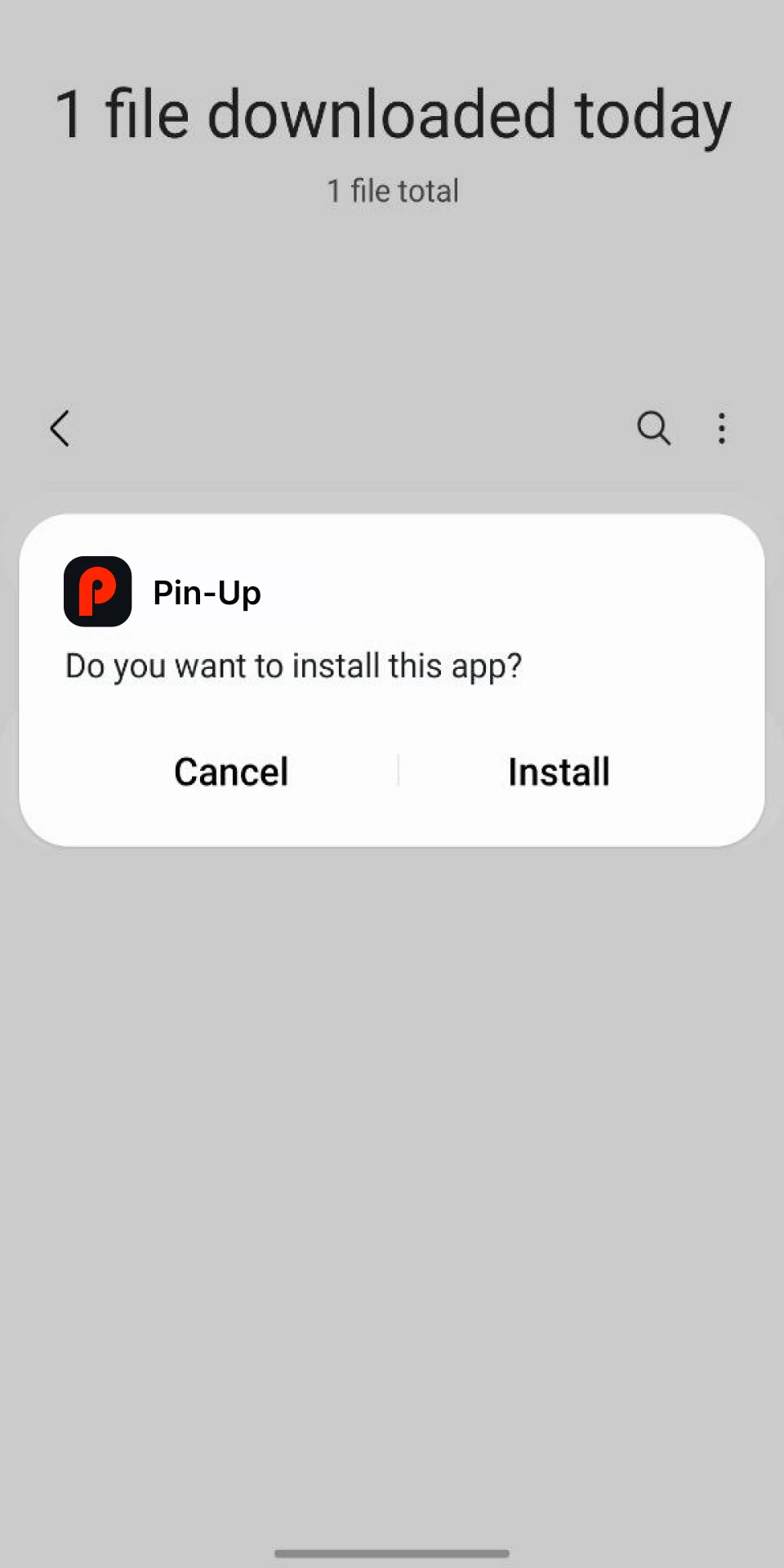 Instale o aplicativo Pin Up em seu smartphone.