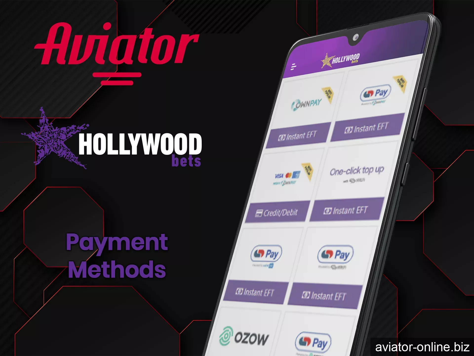 The Hollywoodbets app offers you different types of payment systems.