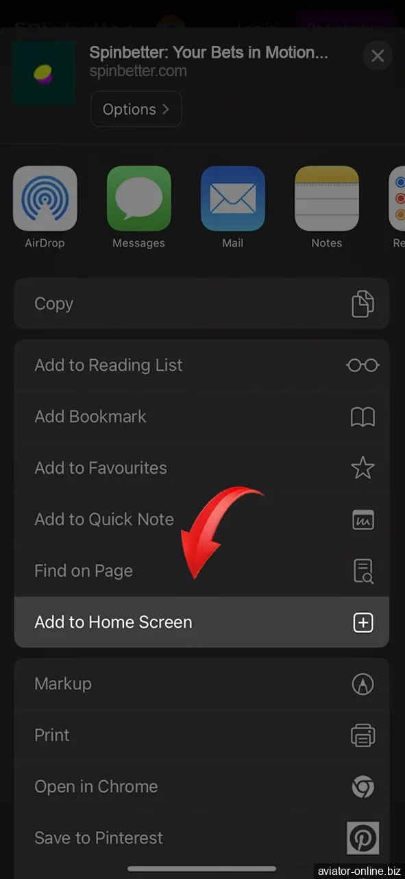 From the browser menu, choose to add the Spinbetter website to your home screen.