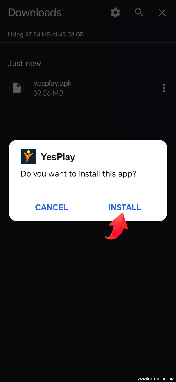 Confirm the installation of the YesPlay mobile app.